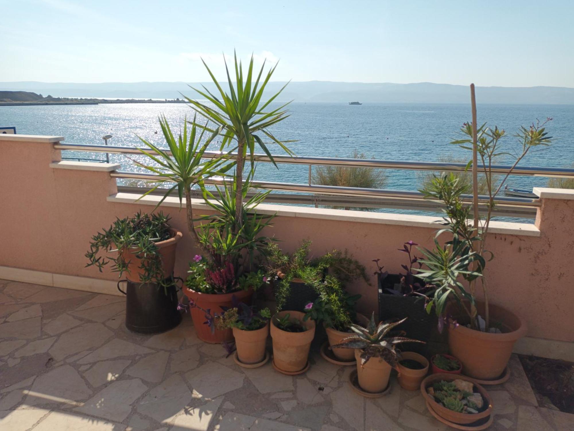 Cici Apartment Dugi Rat Bagian luar foto